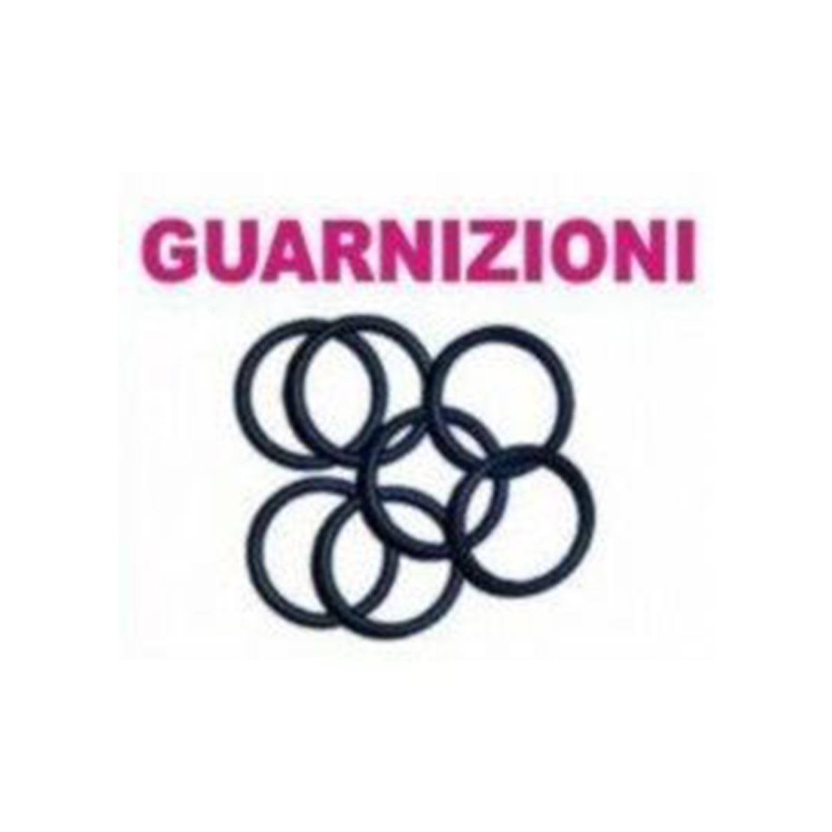 10 GUARNIZIONI PER SIRINGHE da 60cc 10 GUARNIZIONI PER SIRINGHE da 60cc